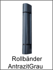 ROLL Hinges Anthracite Grey